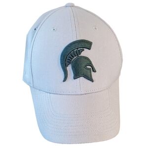 Men's Nike Gray Michigan State Spartans Cap OS